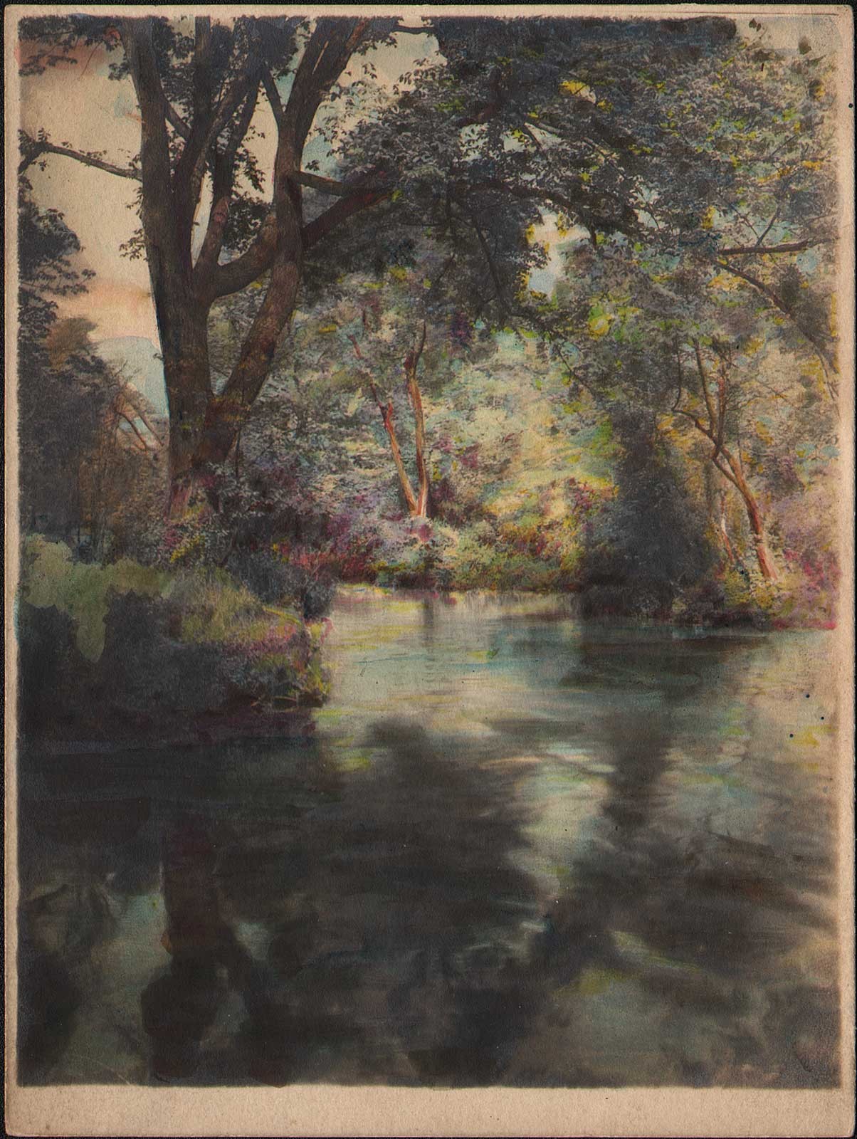 Stream or Pond at Prospect Park  (Brooklyn, New York)