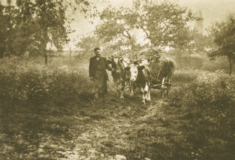 Aufnahme von F. R. Prössdorf in Leipzig