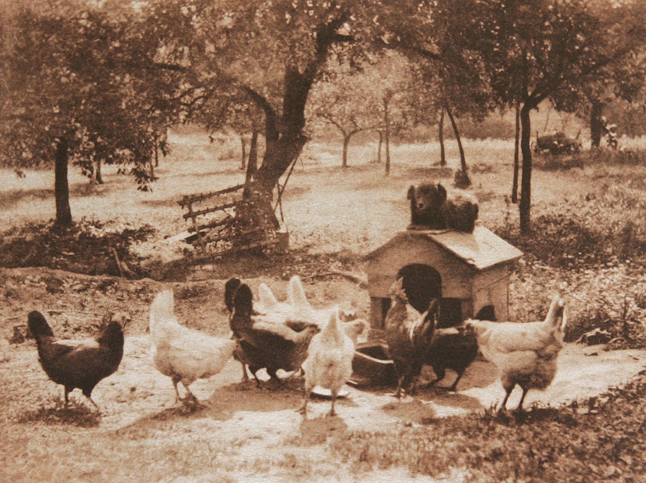 Untitled Farmyard Scene -Dog Watching Chickens