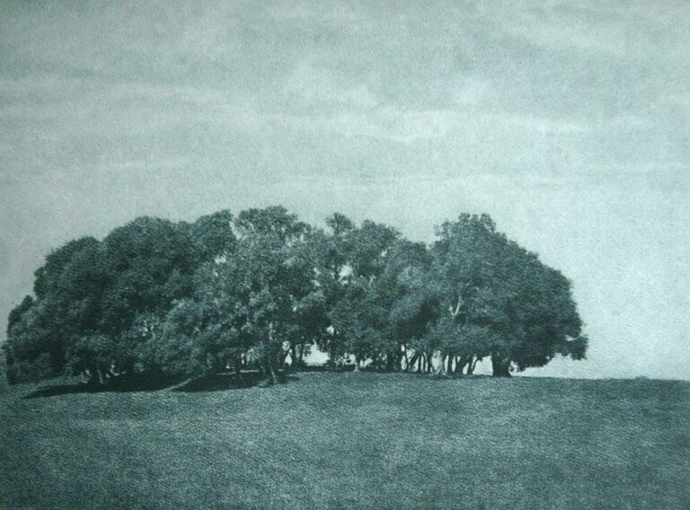 Der Heilige Hain der Nymphe Egeria : Römische Campagna