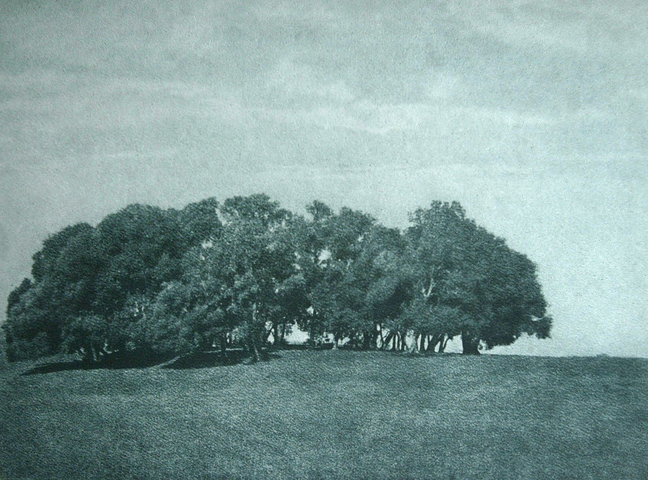 Der Heilige Hain der Nymphe Egeria : Römische Campagna