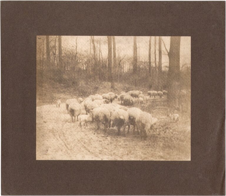 Returning to the Fold