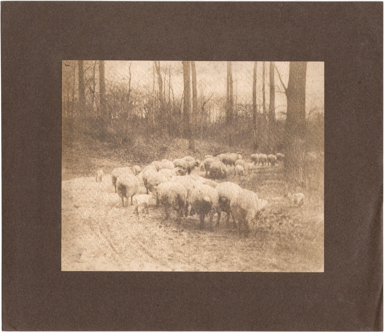 Returning to the Fold