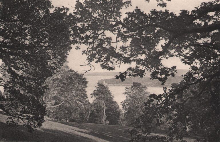 The River Lee from Lota