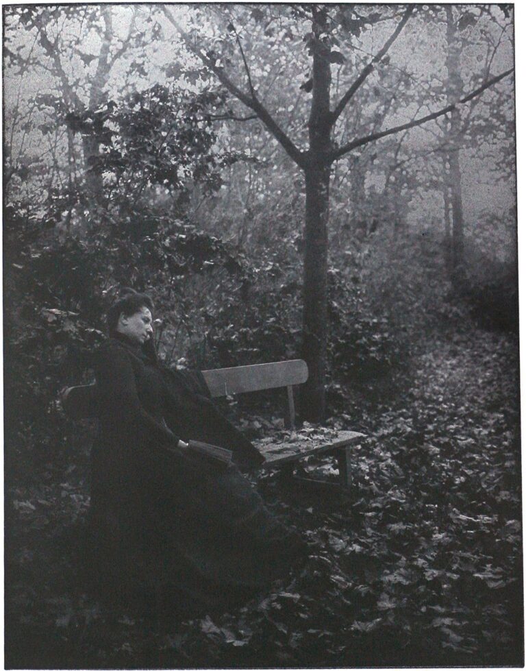 La Chute Des Feuilles