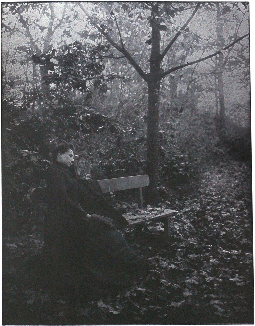 La Chute Des Feuilles