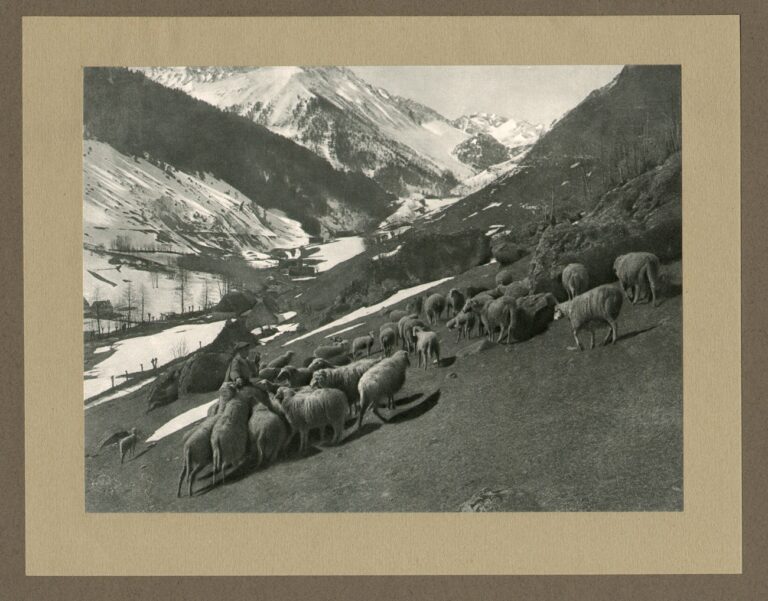 Pâturages dans les Pyrénées