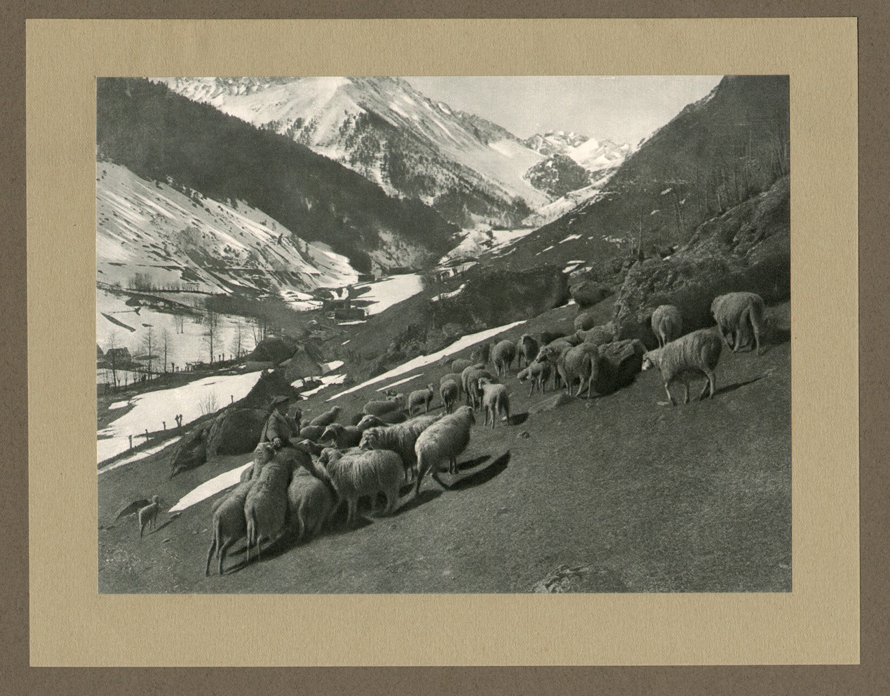 Pâturages dans les Pyrénées