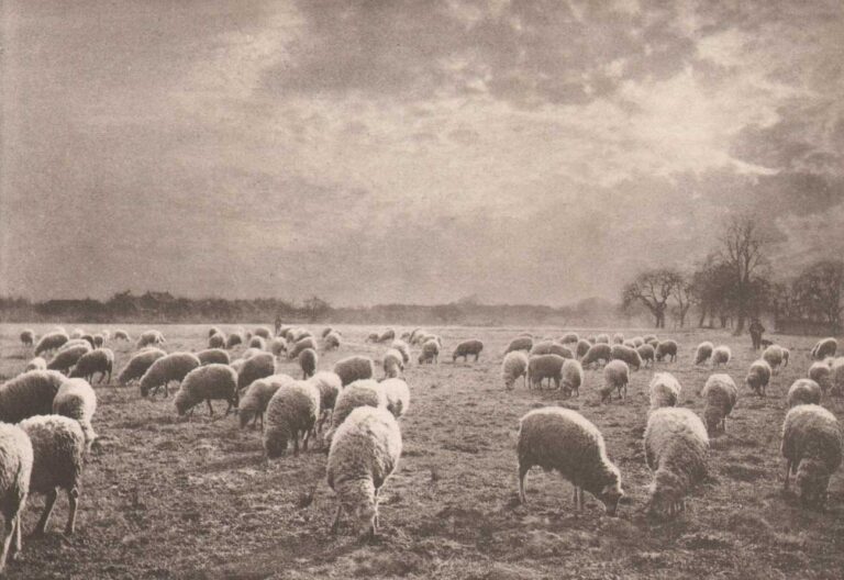 Au Coucher du Soleil