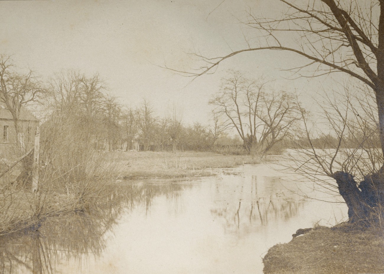 Copie auf Engelmann’s Silberplatinpapier “Ideal”