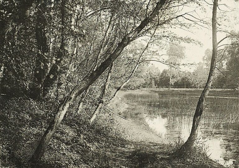 Étude au Prater  (Vienne)