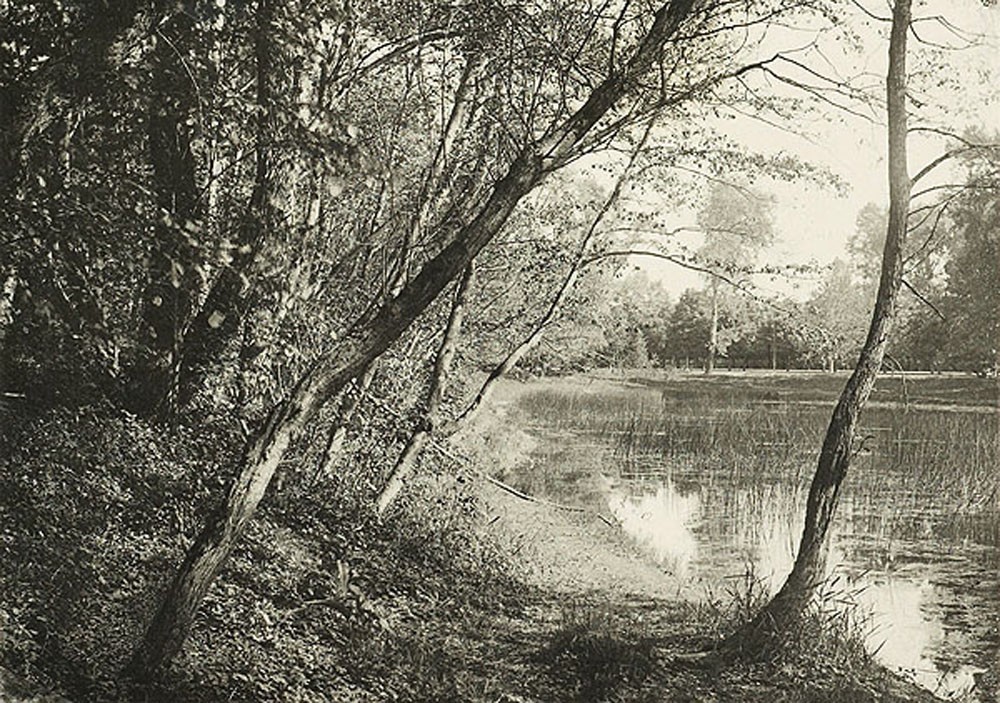 Étude au Prater  (Vienne)