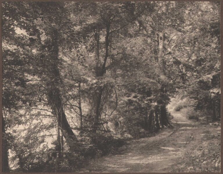 At the Turn of the Road