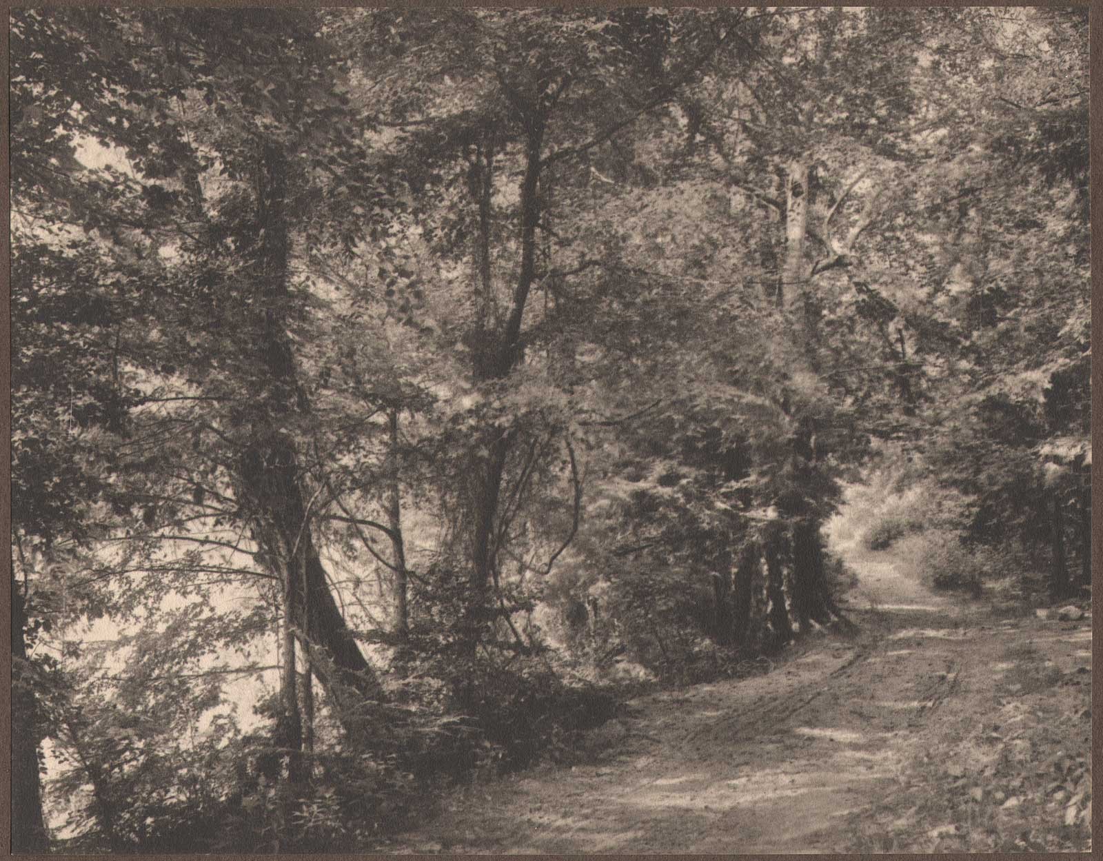 At the Turn of the Road