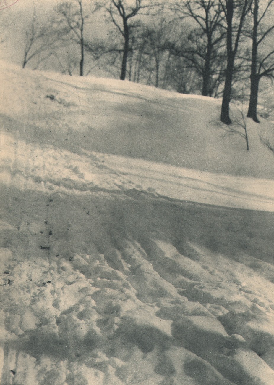 Snow —Foreground Study