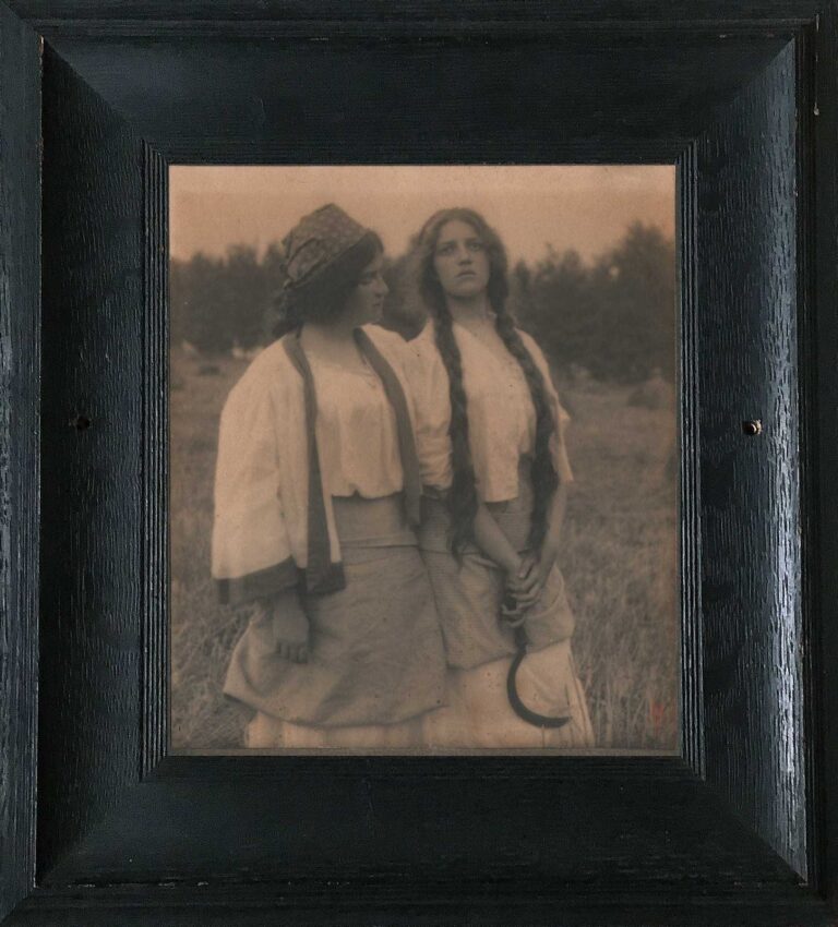 The Song of the Meadow Lark