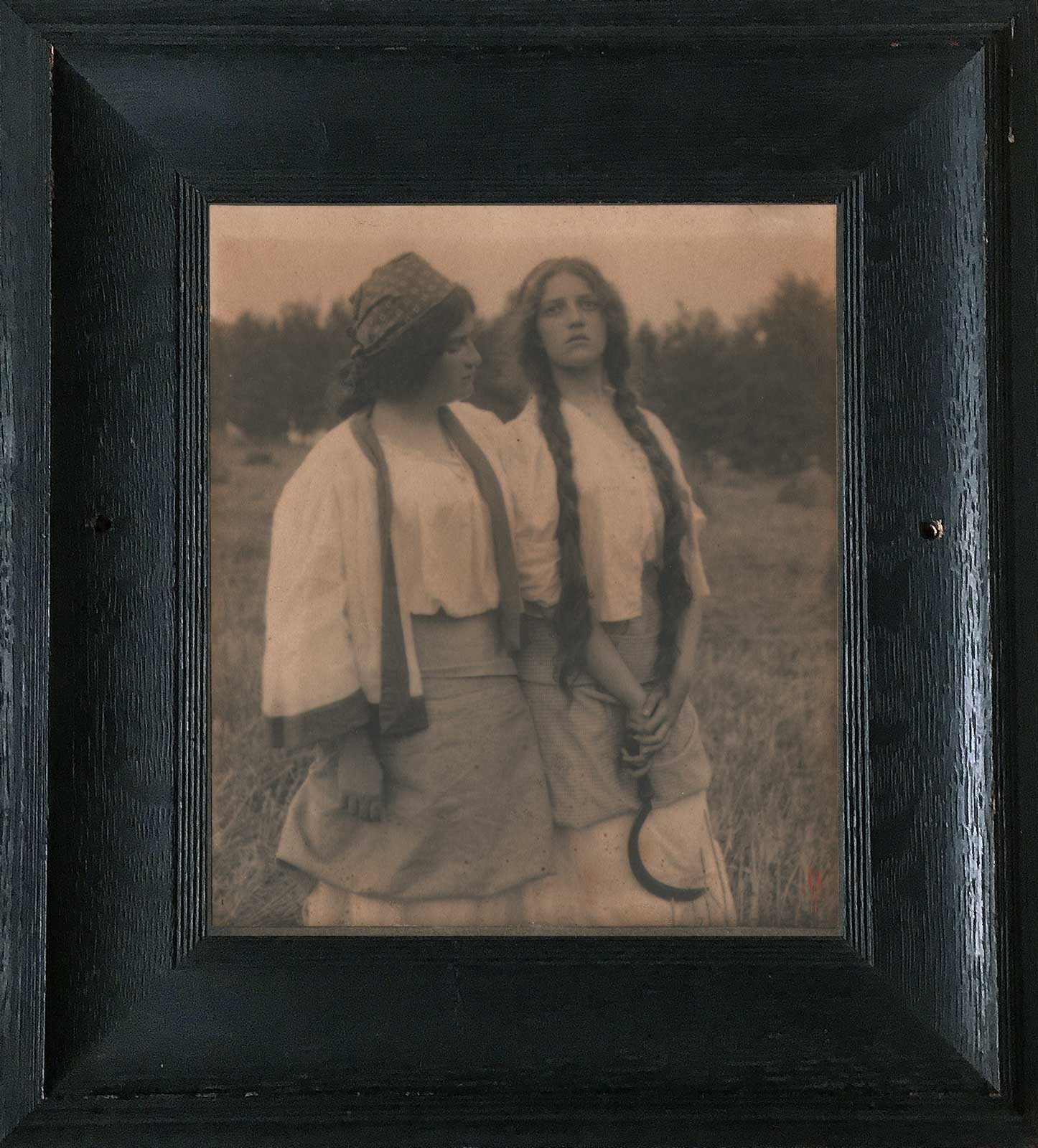 The Song of the Meadow Lark