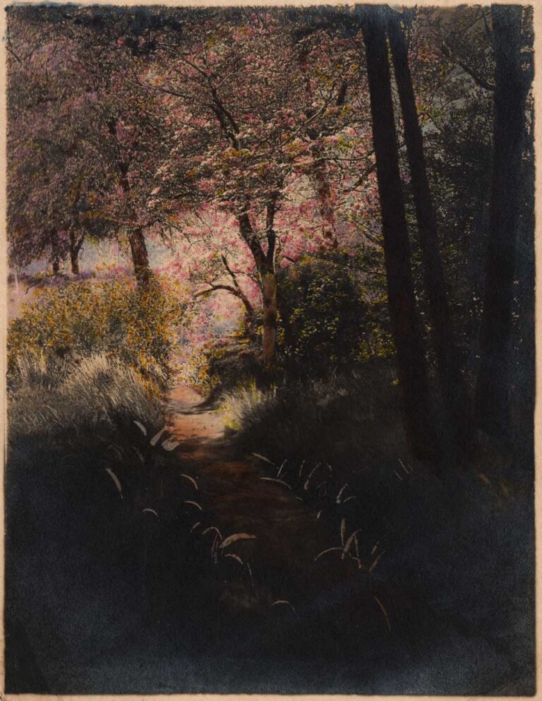 Spring at Prospect Park (Brooklyn, New York)