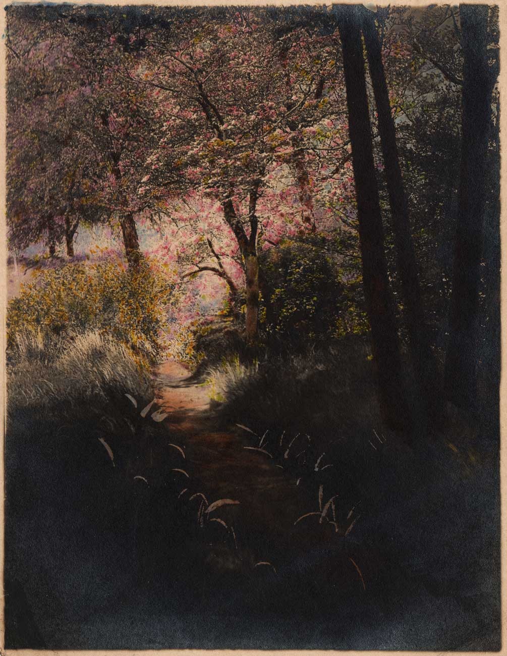 Spring at Prospect Park (Brooklyn, New York)