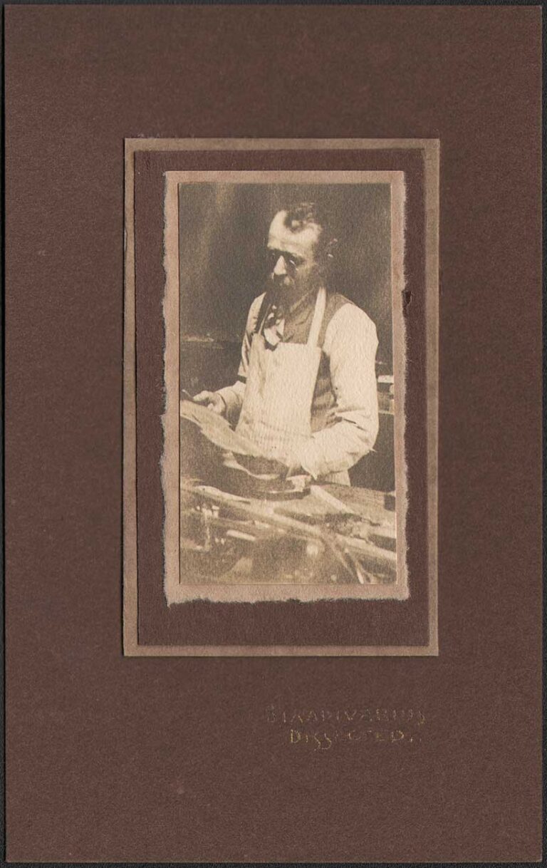 Stradivarius Dissected …