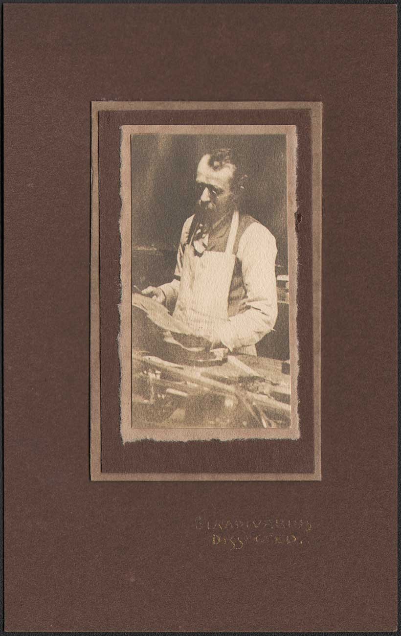 Stradivarius Dissected …