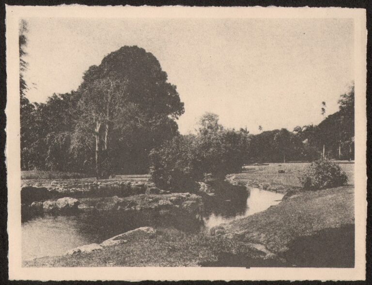 Hawaiian Park with Stream