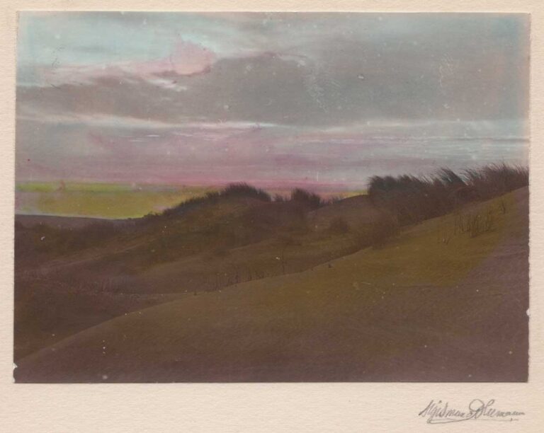 The Dunes: San Francisco