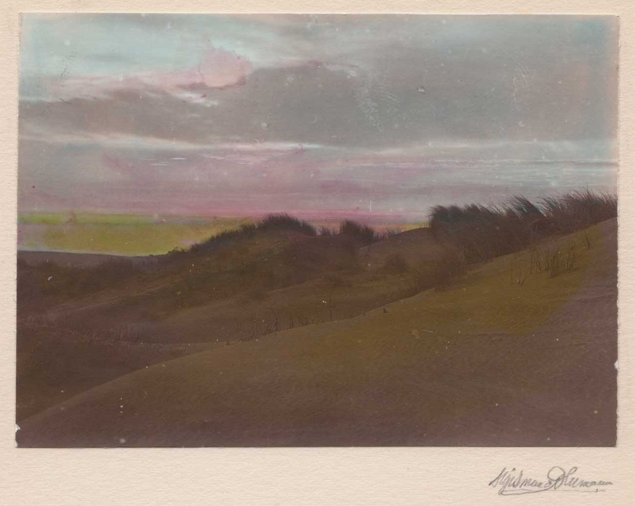 The Dunes: San Francisco