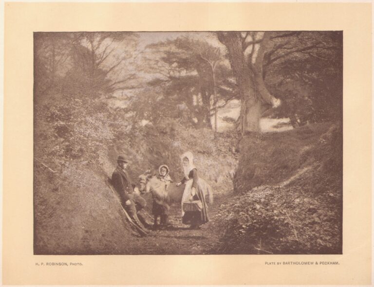 The Keeper’s Donkey