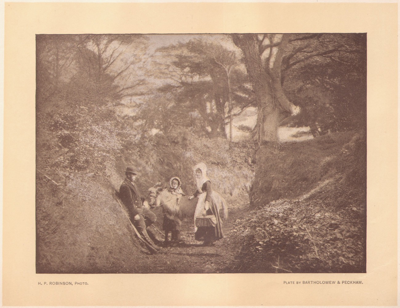 The Keeper’s Donkey