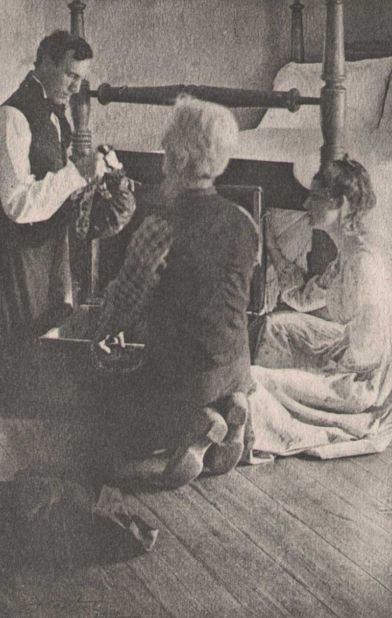 The old skin covered trunk