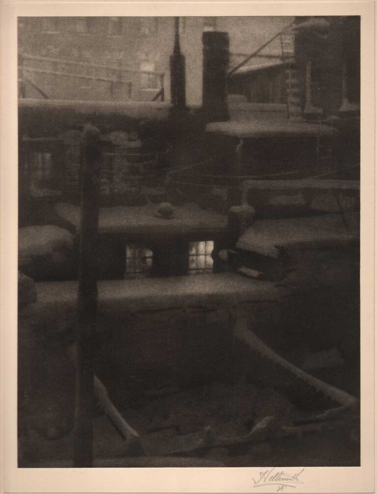 Thru the Back Window