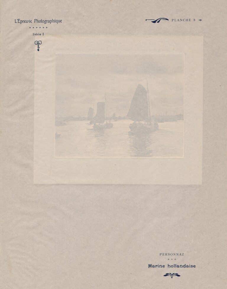 Tissue Guard: Marine Hollandaise