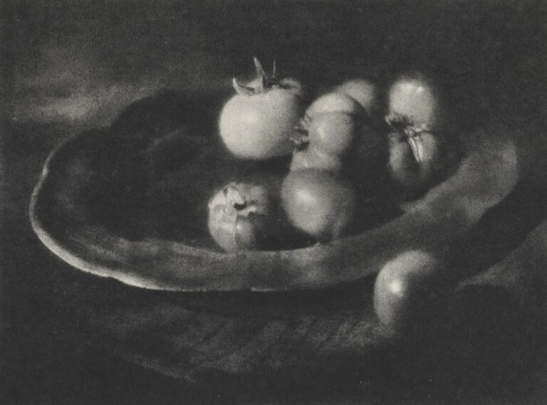 Tomaten auf einem Zinnteller