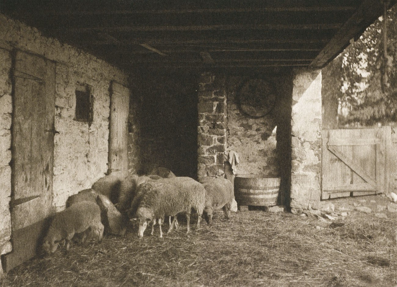 Im Schafstall