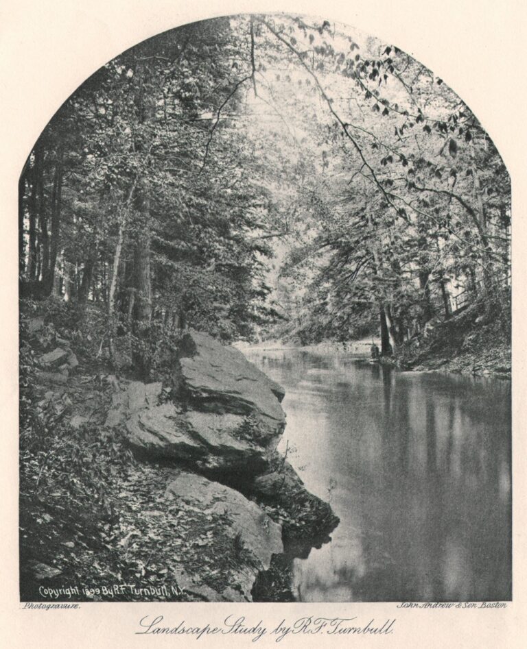 Landscape Study by R.F. Turnbull