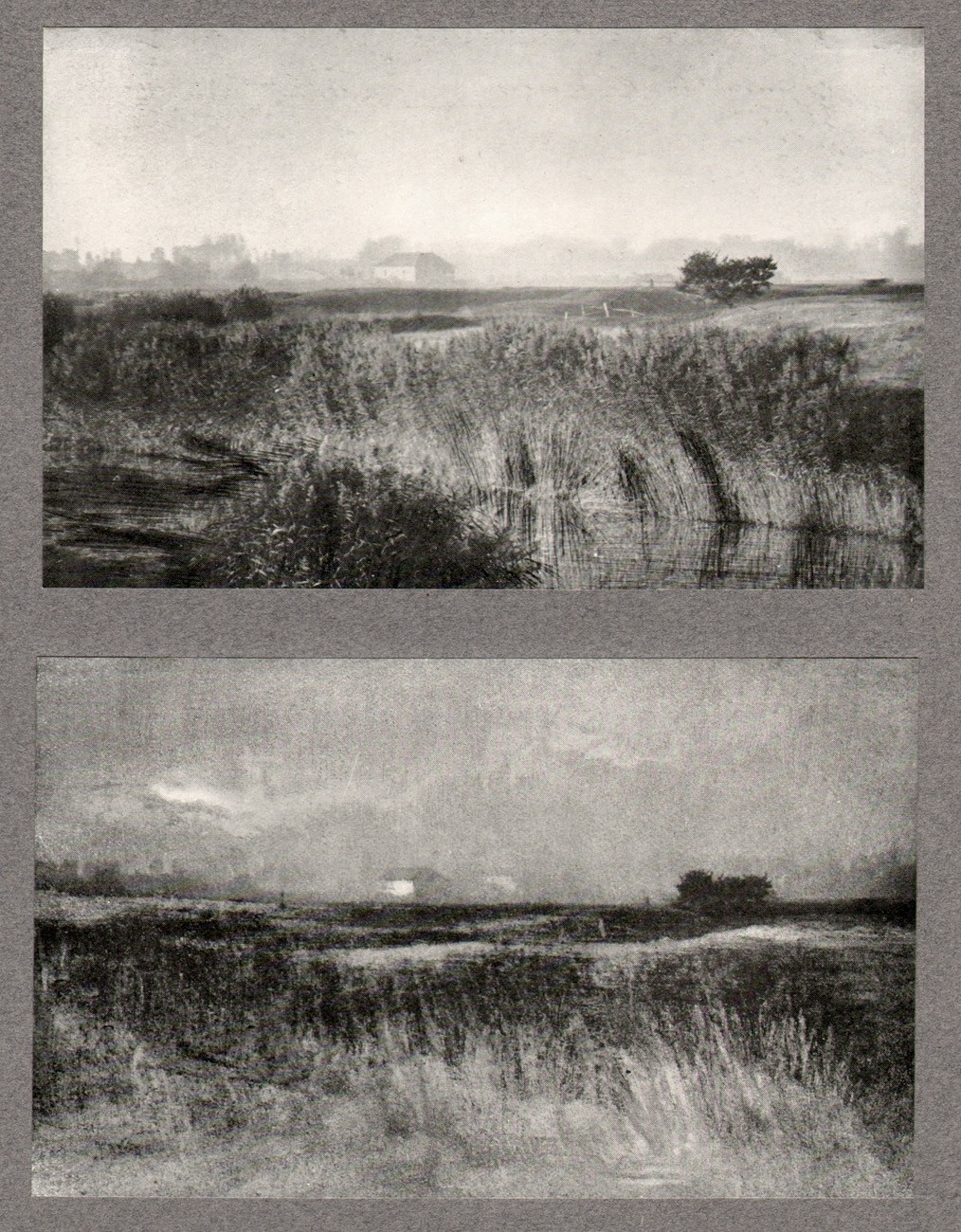 La Plaine de Varaville