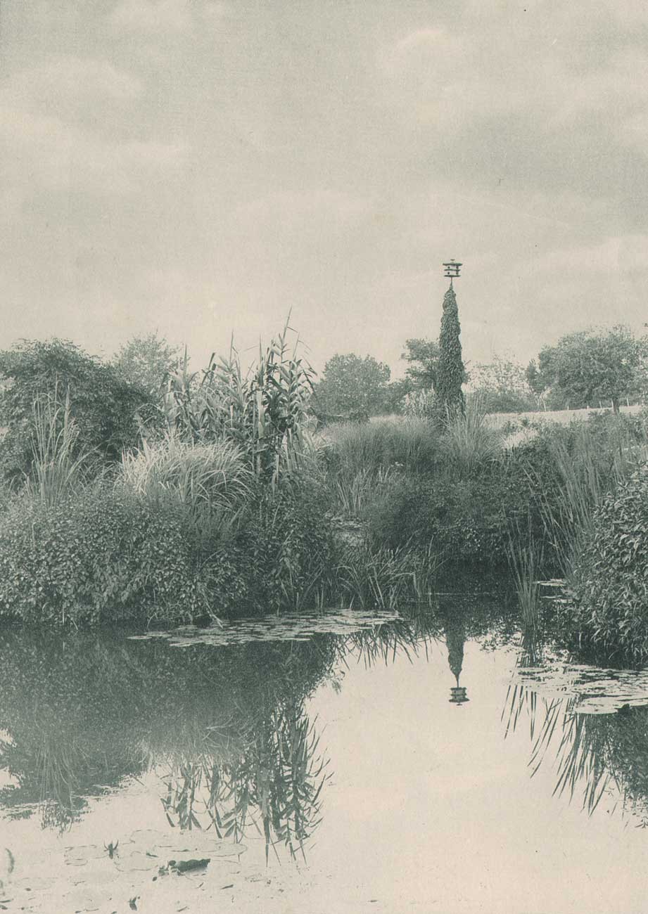 View in Clifton Water Garden