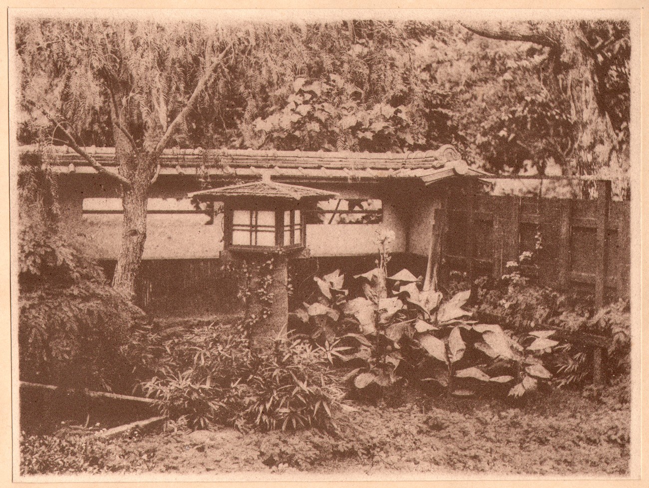 Japanese Walled Garden with Stone Lantern