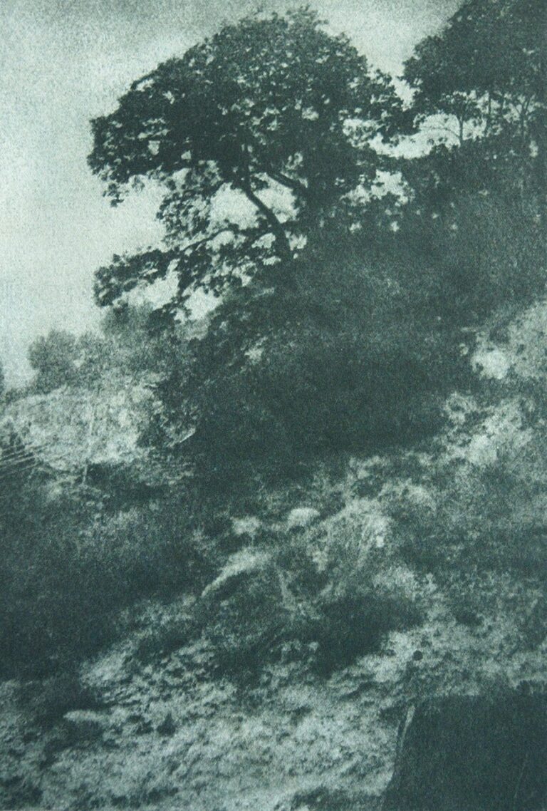 Untitled Hillside Landscape