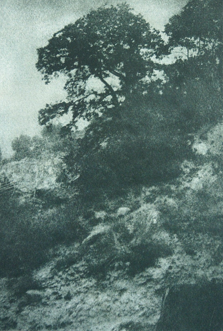 Untitled Hillside Landscape