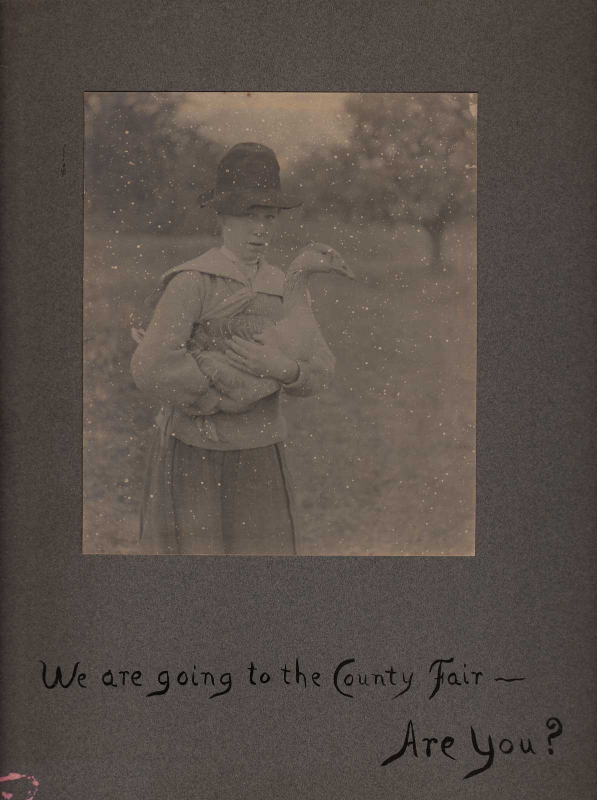 We are going to the County Fair — Are You?