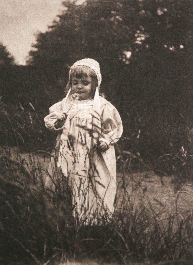 A Gentle Summer Breeze