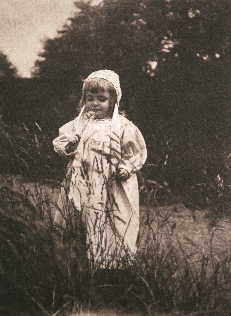 A Gentle Summer Breeze