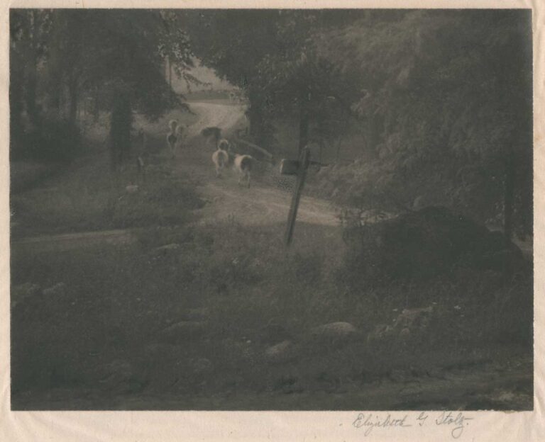 When the Cows go Home