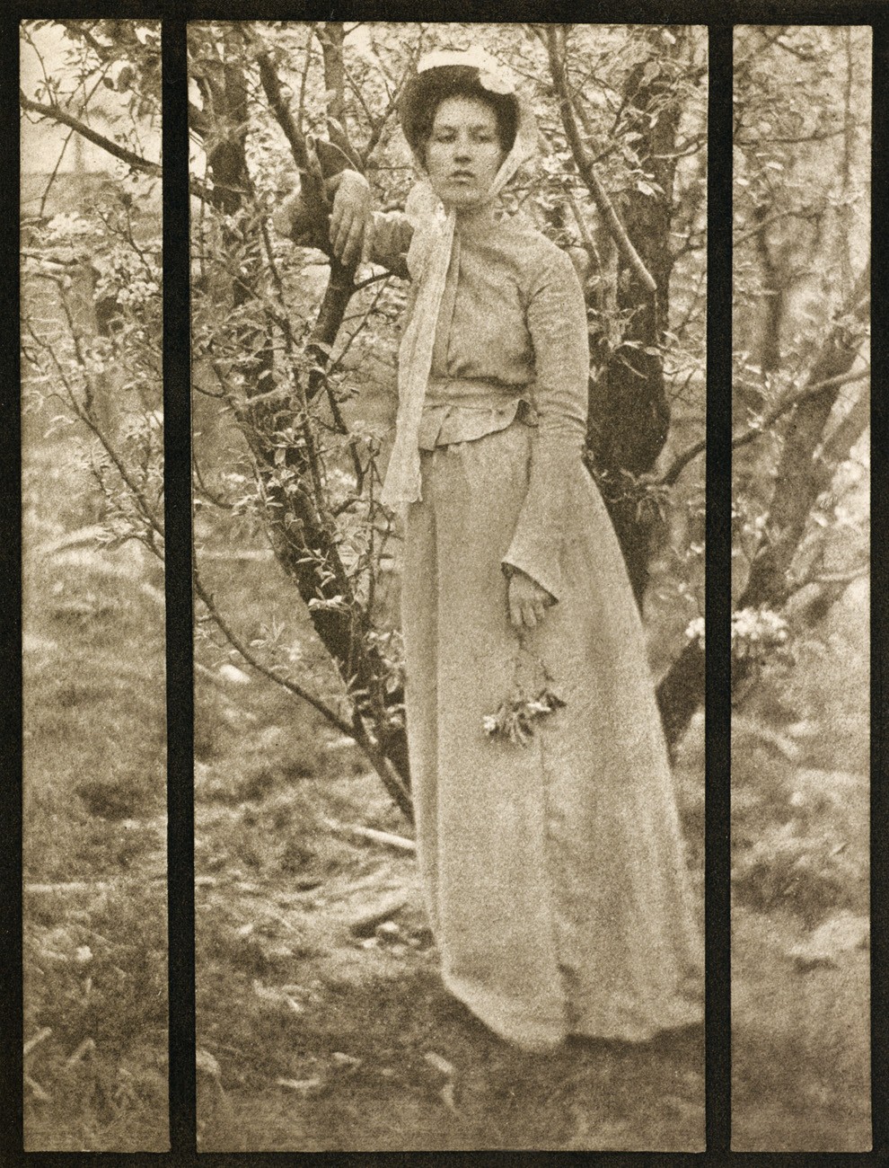 Aufnahmen von Clarence H. White in Ohio