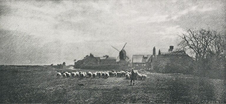 Le Retour du Troupeau