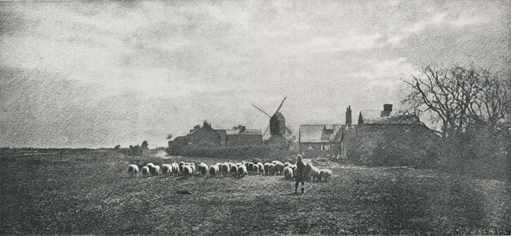 Le Retour du Troupeau