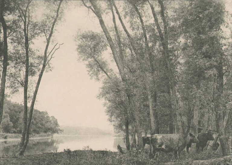 Rock River Scene