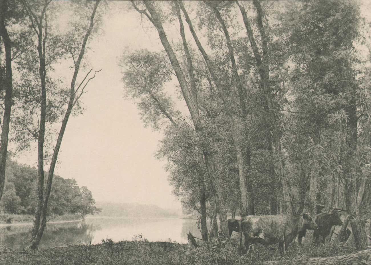Rock River Scene